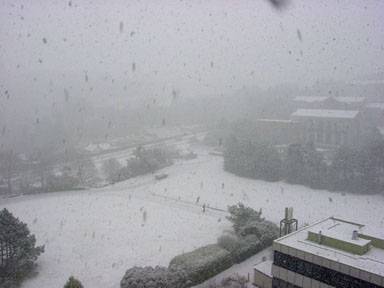 Snow on Campus
