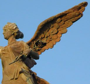 Aberystwyth Picture Quiz